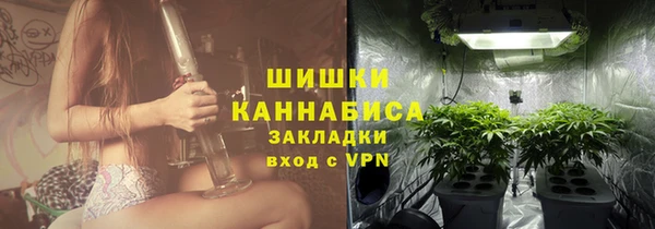 spice Вяземский