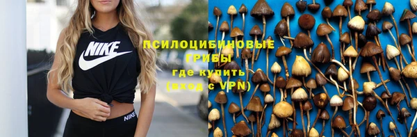 MDMA Горнозаводск