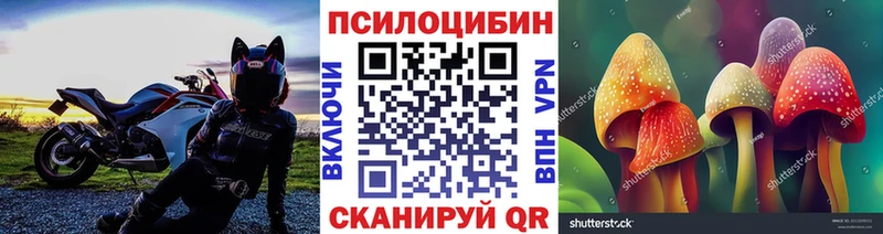 что такое   Давлеканово  Галлюциногенные грибы ЛСД 